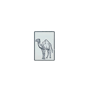 بروش ستكر - ناقة
