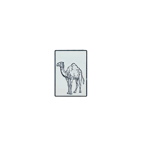 بروش ستكر - ناقة